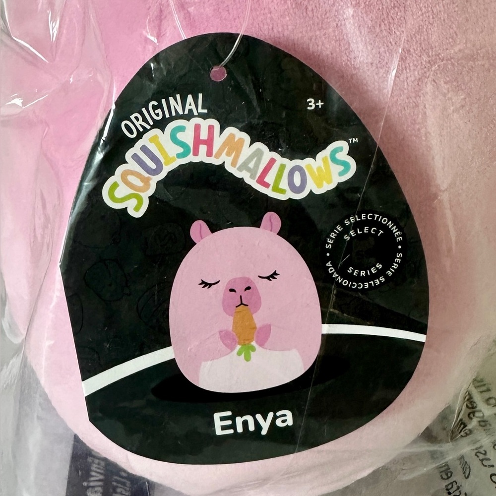 Squishmallow Enya Carrot Plush Easter Kellytoy Select Series Black Tag 8 in NWT - Picture 3 of 9